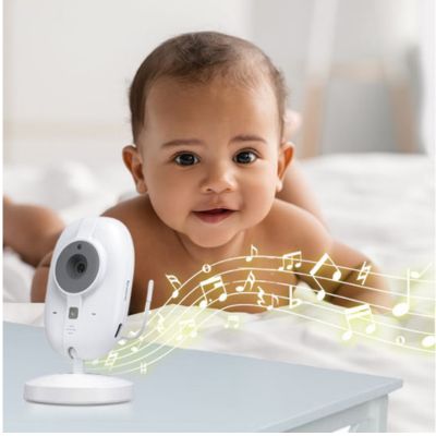 camera bebe argus bebe protection